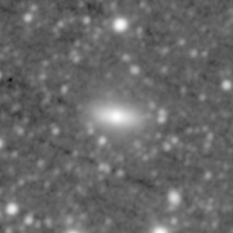 Survey preview for NGC 307