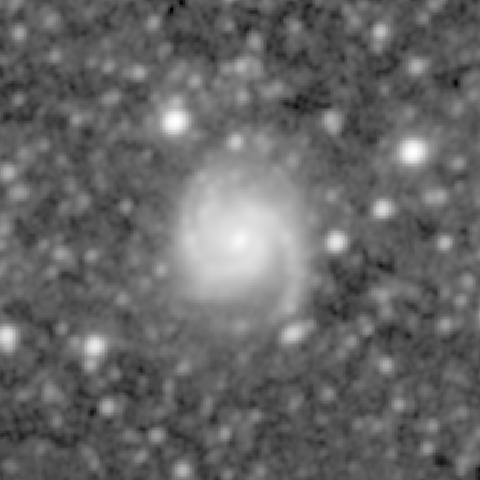 Survey preview for NGC 309