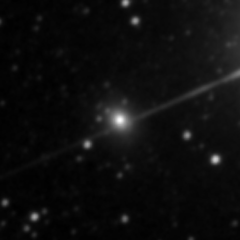 Survey preview for IC 1443