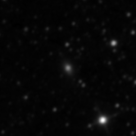 Survey preview for IC 1446