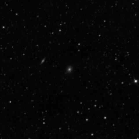 Survey preview for IC 1448