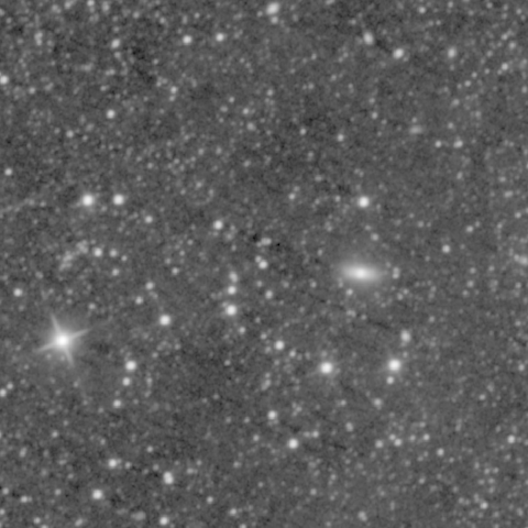 Survey preview for NGC 310