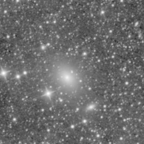 Survey preview for NGC 313