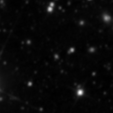 Survey preview for NGC 2689