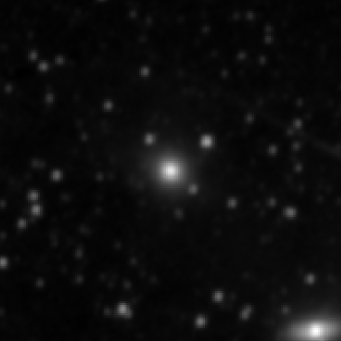 Survey preview for NGC 2699