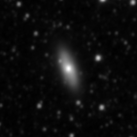Survey preview for NGC 2811