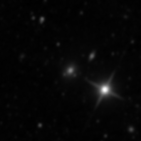 Survey preview for NGC 2813