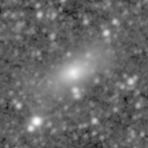 Survey preview for NGC 333