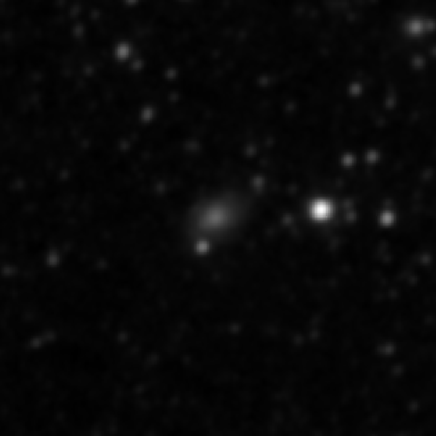 Survey preview for IC 1555