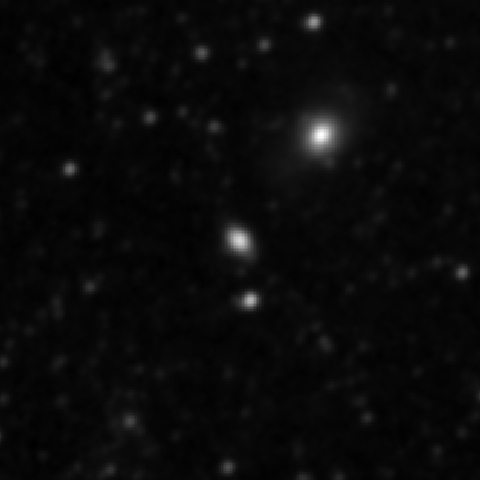 Survey preview for IC 1556