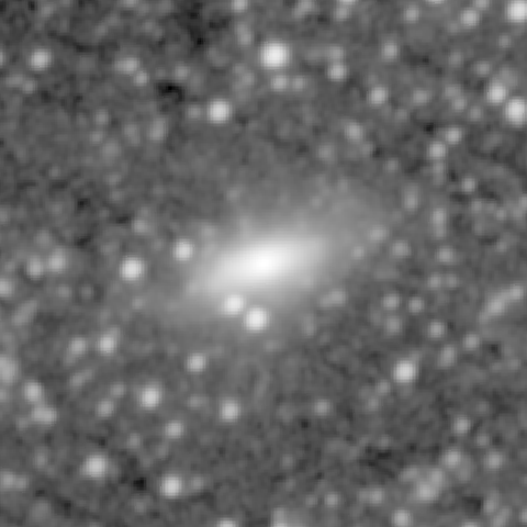 Survey preview for NGC 338