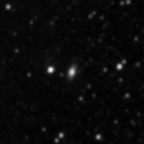 Survey preview for NGC 2833