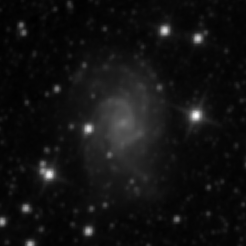 Survey preview for NGC 2835