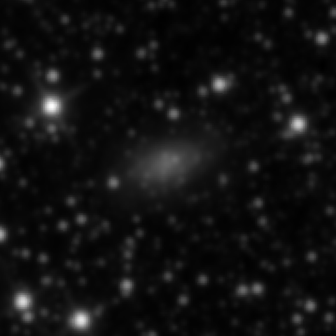 Survey preview for NGC 2836