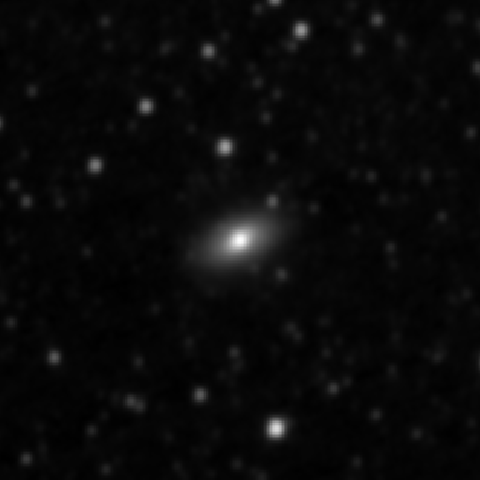Survey preview for NGC 2858