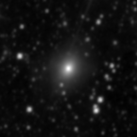 Survey preview for NGC 2865