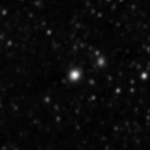 Survey preview for NGC 2877