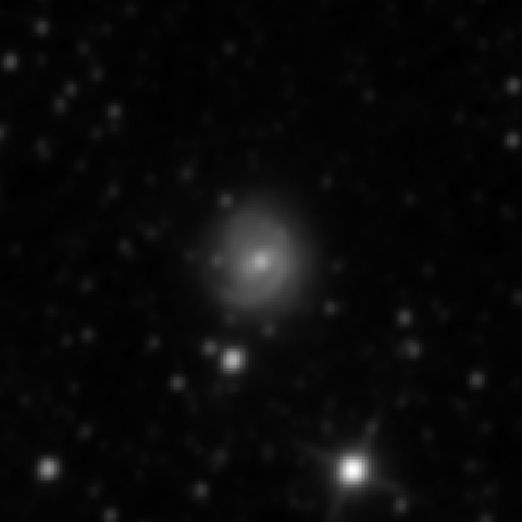 Survey preview for NGC 2889