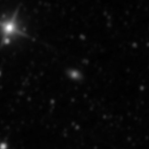 Survey preview for NGC 2890
