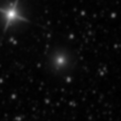 Survey preview for NGC 2891