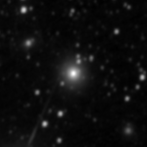 Survey preview for NGC 2902