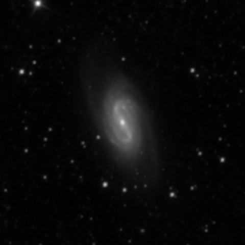 Survey preview for NGC 2903