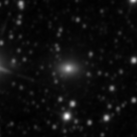 Survey preview for NGC 2904