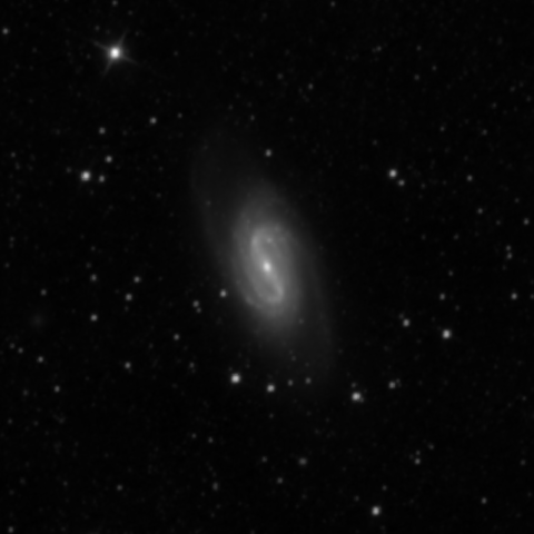 Survey preview for NGC 2905