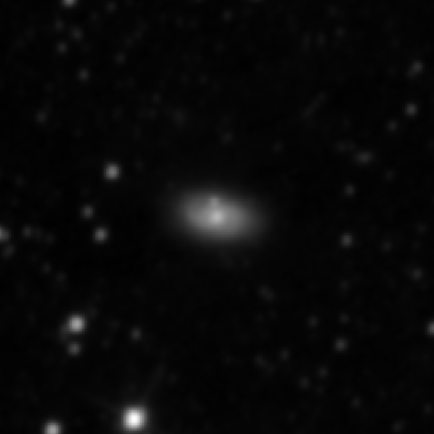Survey preview for NGC 2906