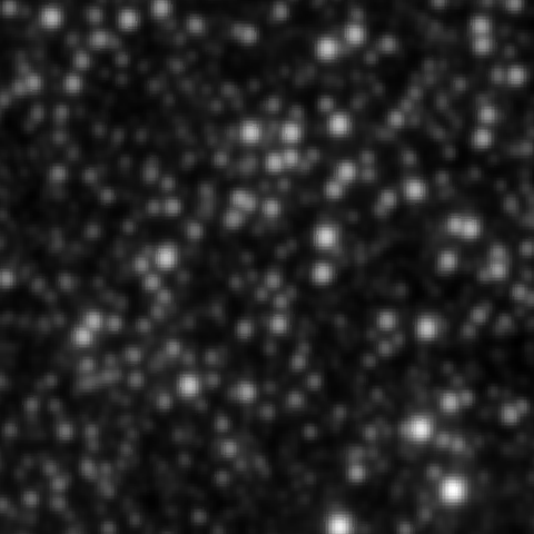 Survey preview for NGC 2910