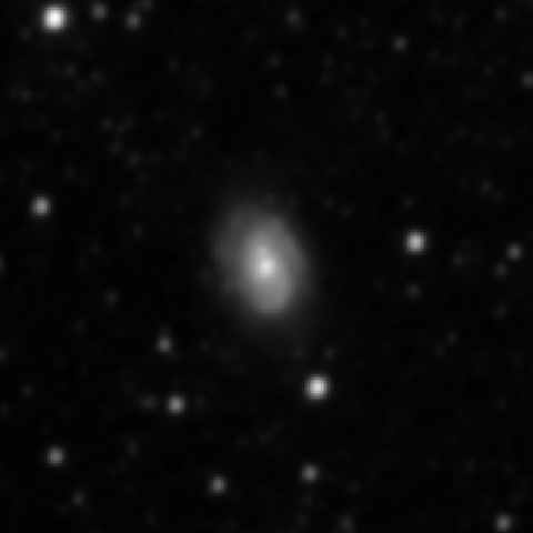 Survey preview for NGC 2916