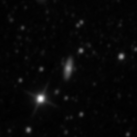 Survey preview for NGC 2917