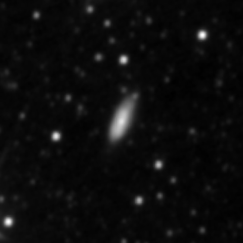 Survey preview for NGC 2919