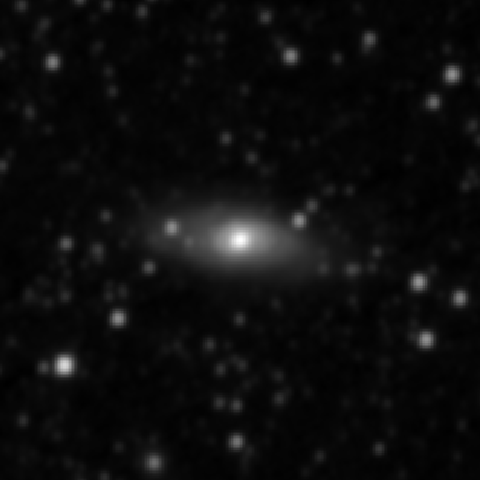 Survey preview for NGC 2921
