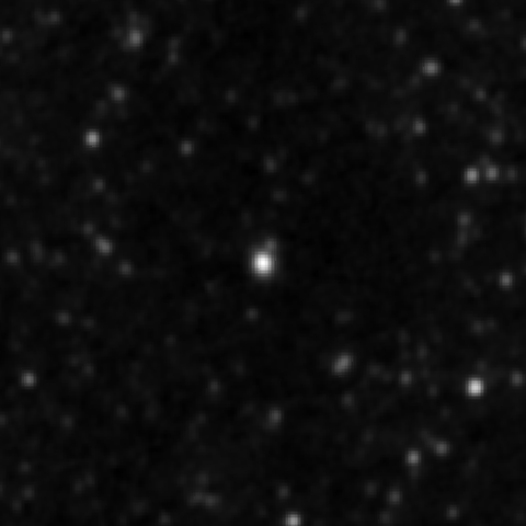 Survey preview for NGC 2923