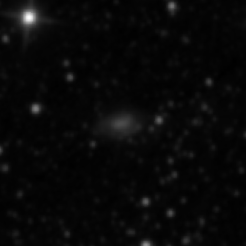 Survey preview for NGC 2938