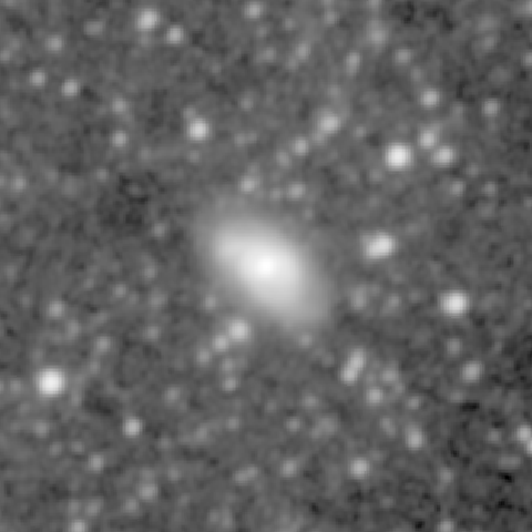 Survey preview for NGC 356