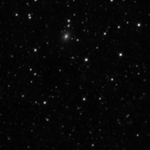 Survey preview for NGC 2953