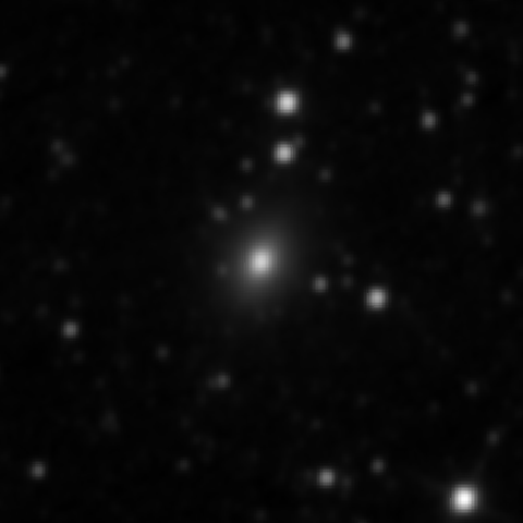 Survey preview for NGC 2954