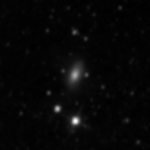 Survey preview for NGC 2955