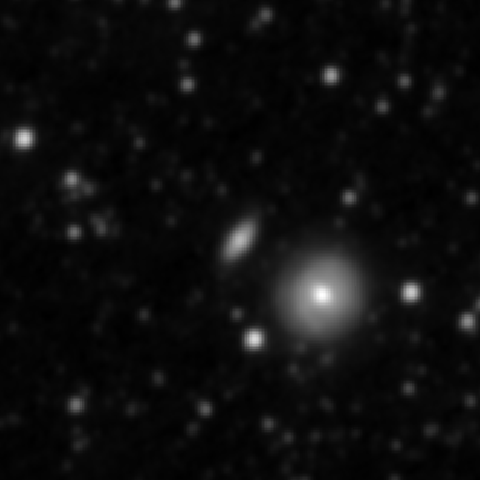 Survey preview for NGC 2961