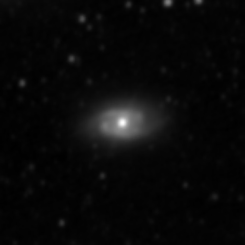 Survey preview for NGC 2964