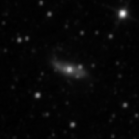 Survey preview for NGC 2966
