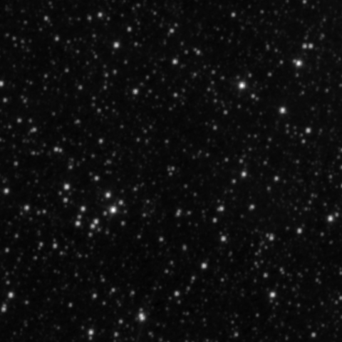 Survey preview for NGC 2973