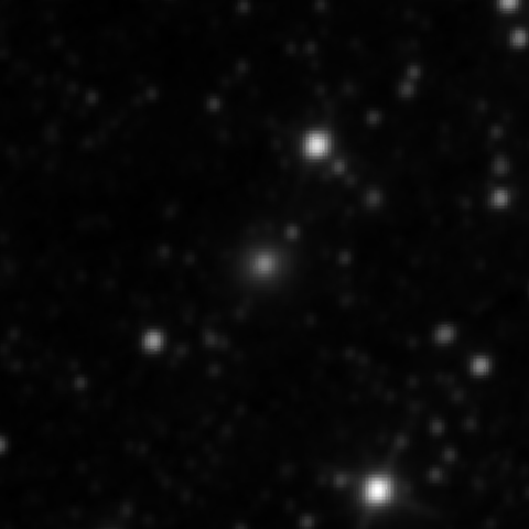 Survey preview for NGC 2975