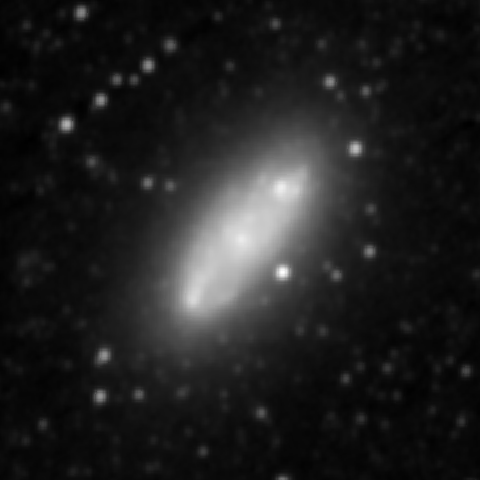 Survey preview for NGC 2976