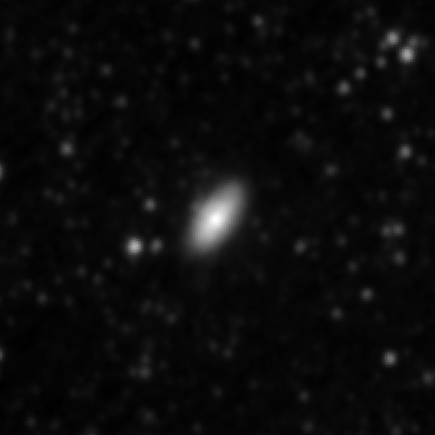 Survey preview for NGC 2977