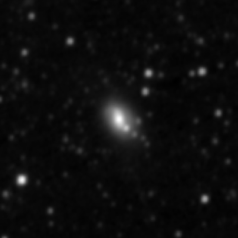 Survey preview for NGC 2979
