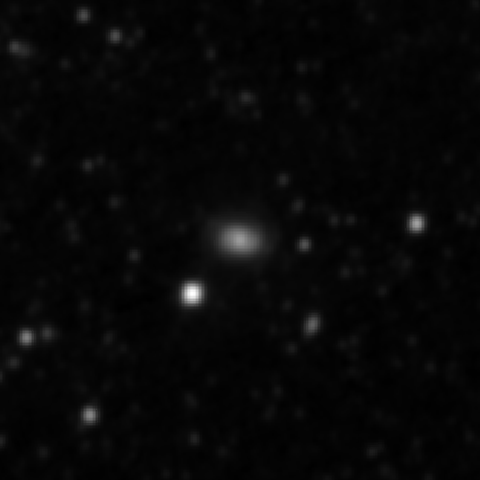 Survey preview for NGC 2981