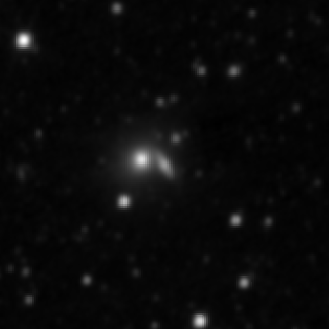 Survey preview for NGC 2988